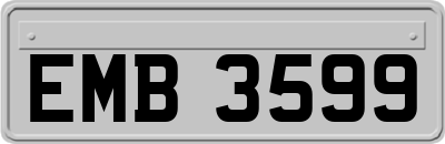 EMB3599