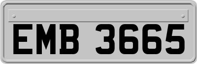 EMB3665