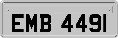 EMB4491