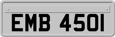 EMB4501