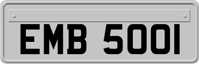 EMB5001