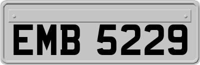 EMB5229