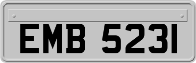 EMB5231