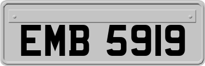 EMB5919