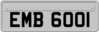 EMB6001