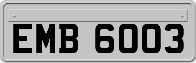 EMB6003