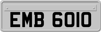 EMB6010