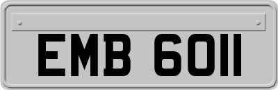 EMB6011