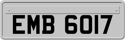 EMB6017