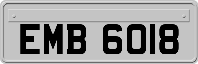 EMB6018