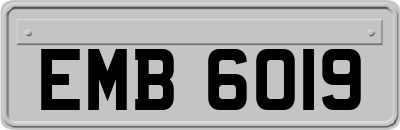 EMB6019