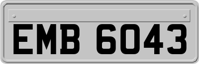 EMB6043