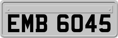 EMB6045