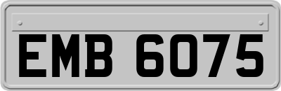 EMB6075