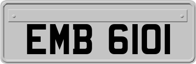 EMB6101