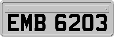 EMB6203