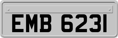 EMB6231