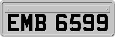 EMB6599