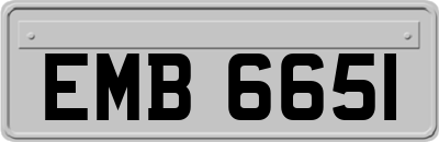 EMB6651