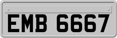 EMB6667