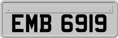 EMB6919