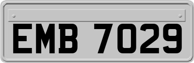 EMB7029