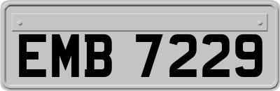 EMB7229