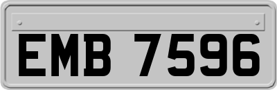 EMB7596