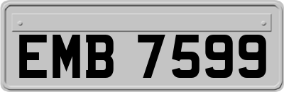EMB7599