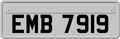EMB7919
