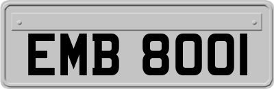 EMB8001