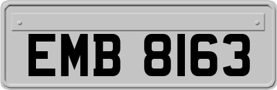 EMB8163