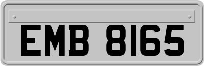 EMB8165