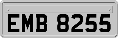 EMB8255