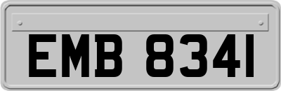 EMB8341