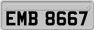 EMB8667