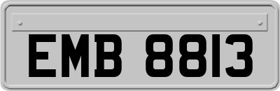 EMB8813