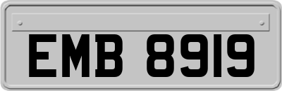 EMB8919