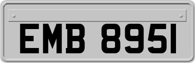 EMB8951