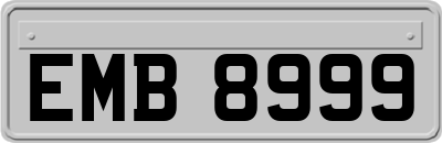 EMB8999