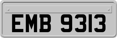 EMB9313