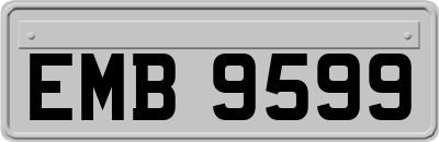 EMB9599
