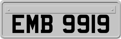 EMB9919