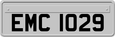 EMC1029