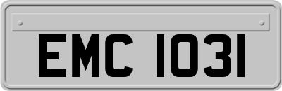 EMC1031