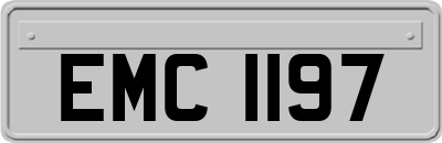 EMC1197