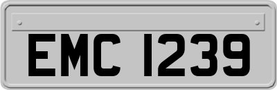 EMC1239
