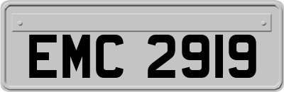 EMC2919