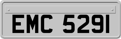 EMC5291