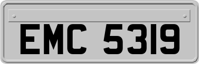 EMC5319